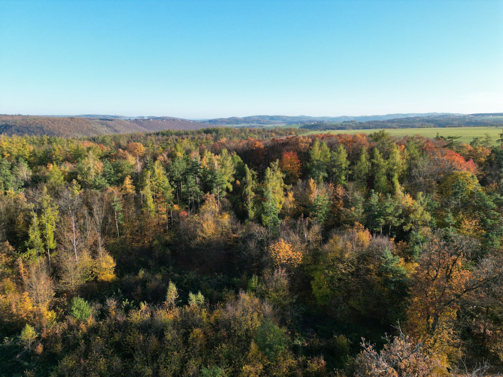 Prodej lesního pozemku, 457 172 m², Trnová u Jíloviště